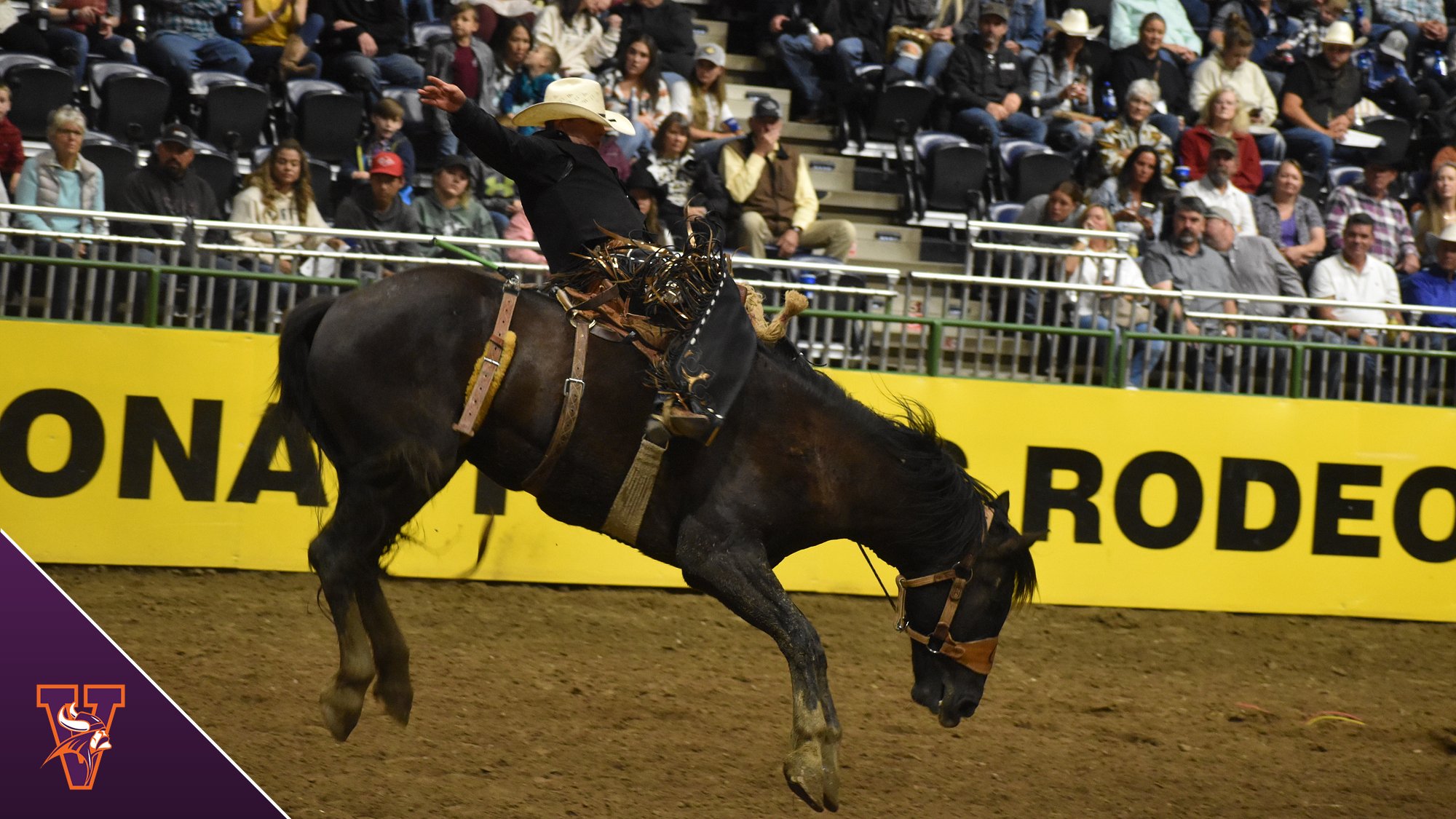 Three Rodeo Performances Thursday At CNFR